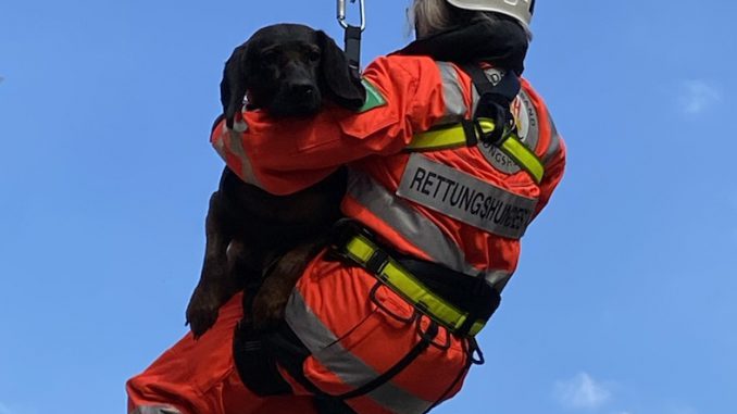 Abseilen mit Hund