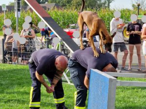 Hündin Herta braucht keine Leiter - sie nutzt einfach die Rücken der Feuerwehrleute. 